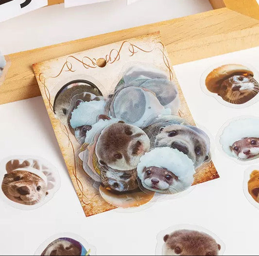 FREE GIFT: Sea Otter Stickers