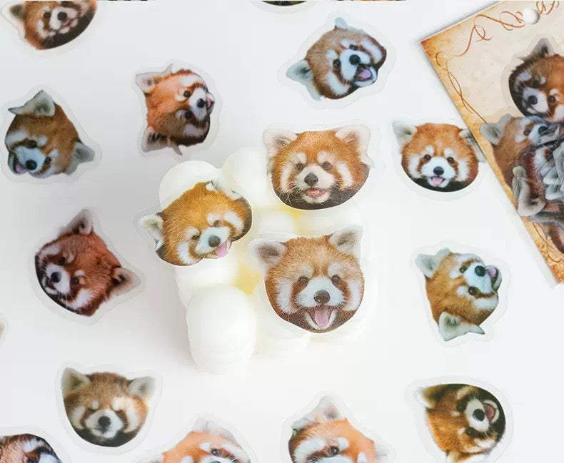 FREE GIFT: Key Chain+ Stickers2